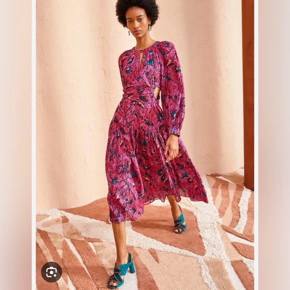 Ulla Johnson Helia Ruched Printed Cotton Midi Dress - Picture 2 of 11